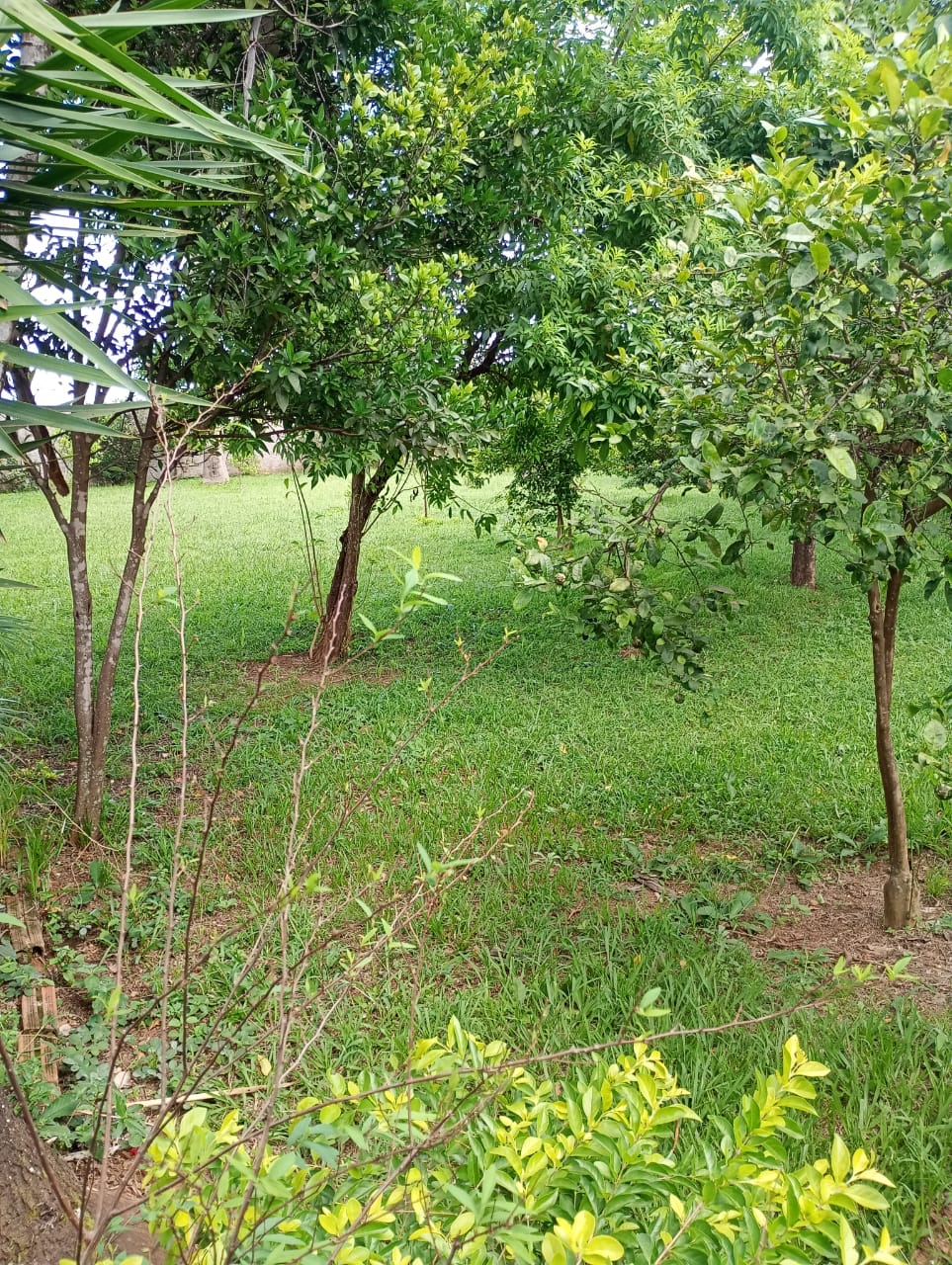 Rural no bairro Residencial Nosso Lar à Venda