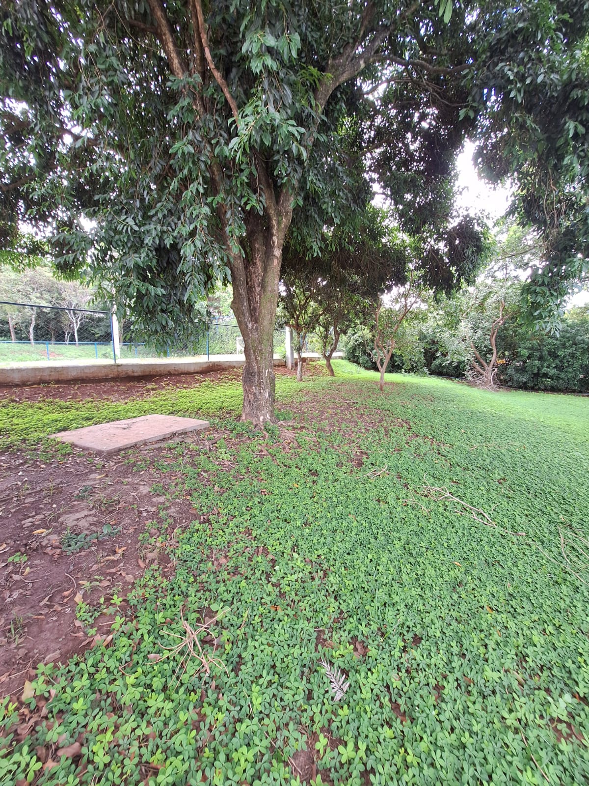 Terreno no bairro Prolongamento Jardim Aeroporto I à Venda