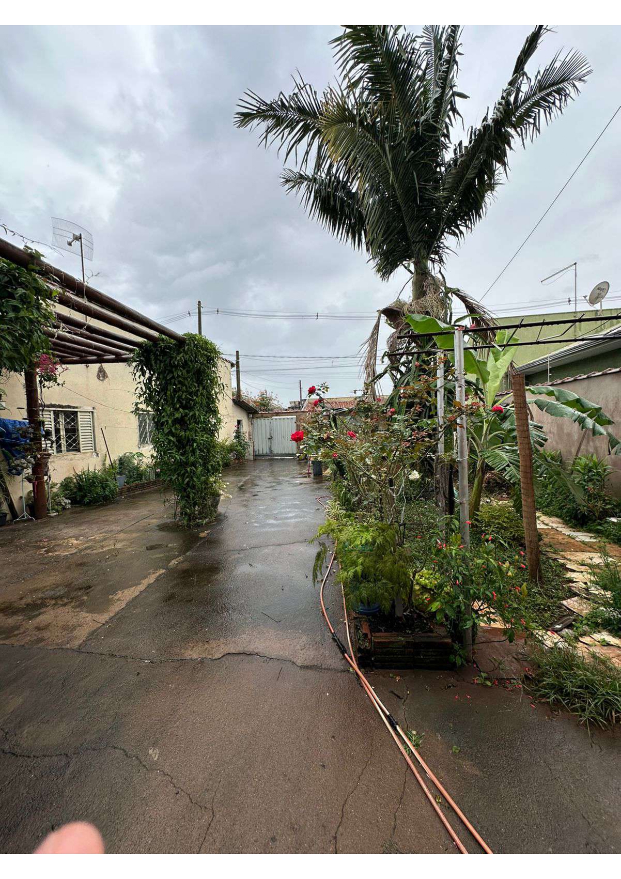 Casa no bairro Jardim São Luiz à Venda
