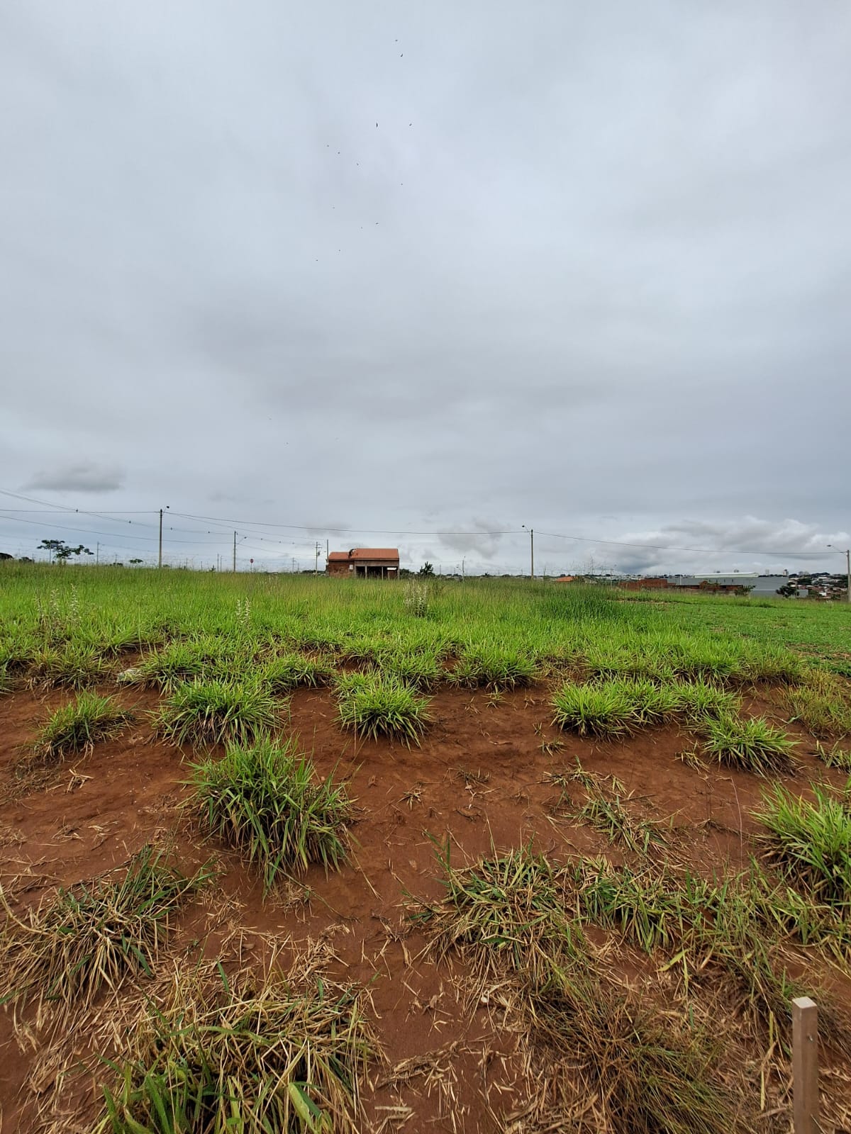 Terreno no bairro Loteamento Quinta do Oeste à Venda