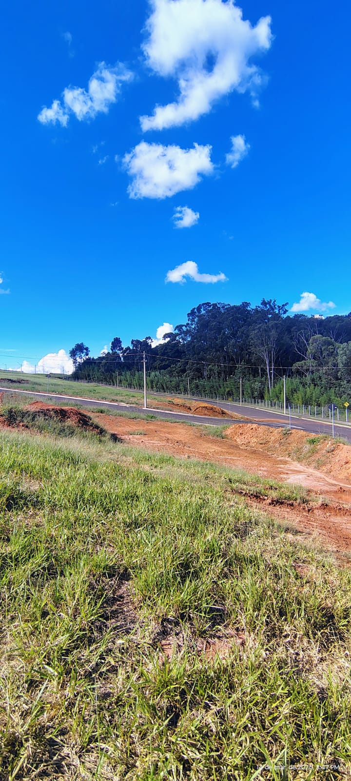 Apartamento no bairro Jardim Botânico à Venda