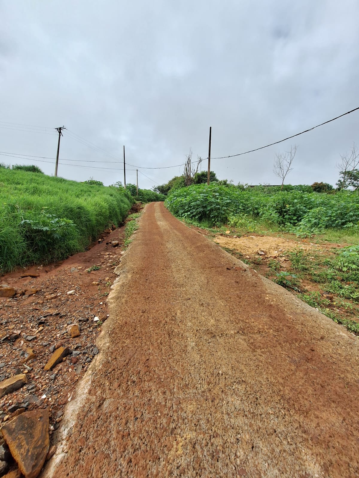 Rural no bairro Jardim Palestina à Venda