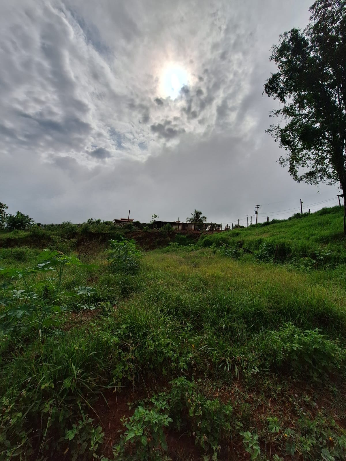 Rural no bairro Jardim Palestina à Venda