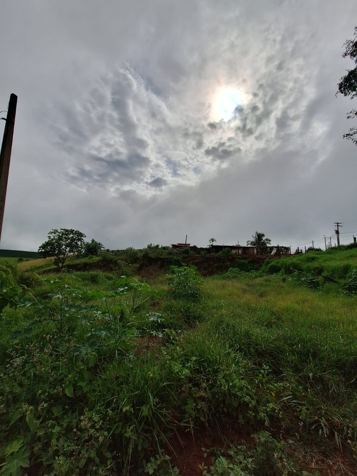 Rural no bairro Jardim Palestina à Venda