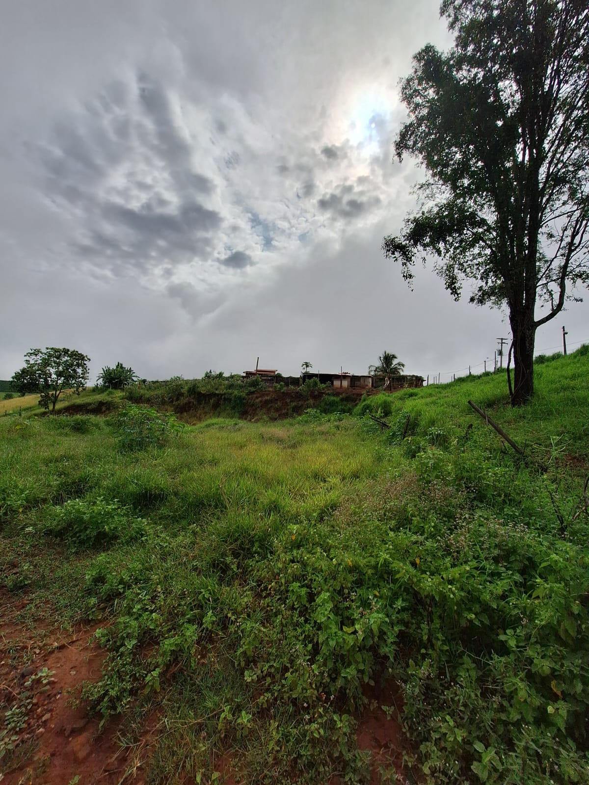 Rural no bairro Jardim Palestina à Venda