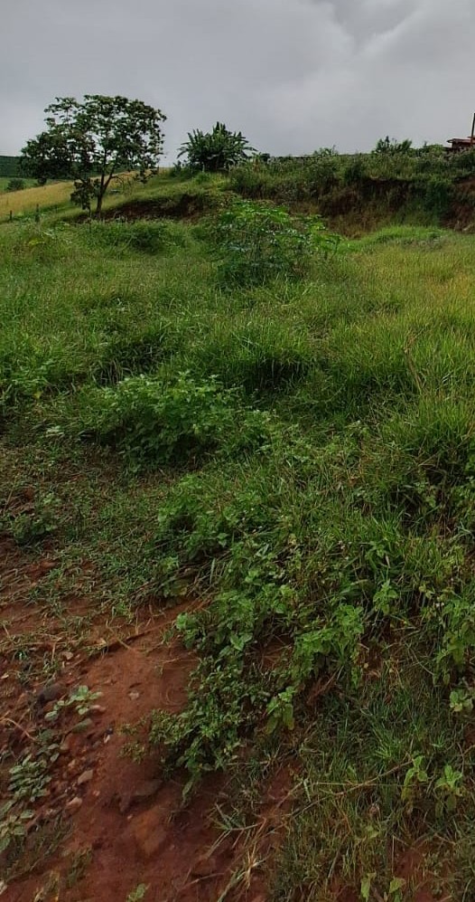 Rural no bairro Jardim Palestina à Venda
