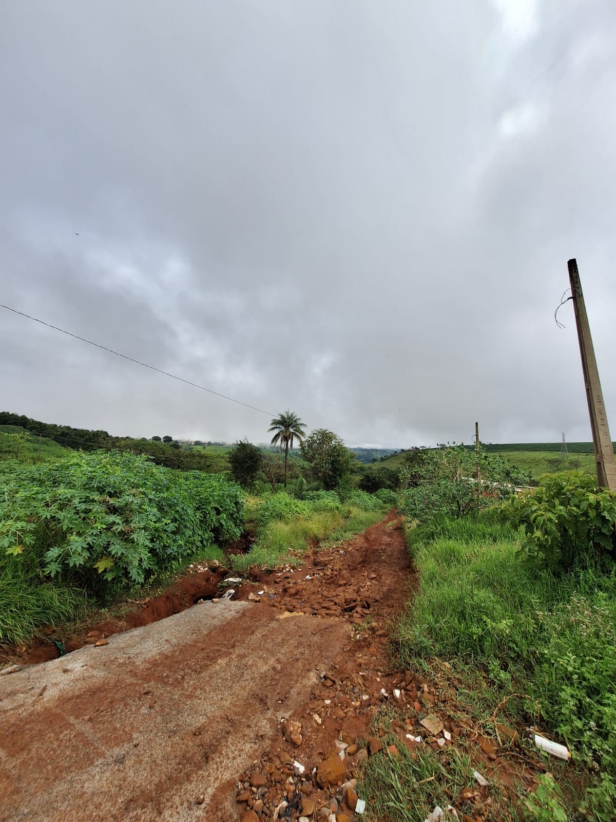 Rural no bairro Jardim Palestina à Venda