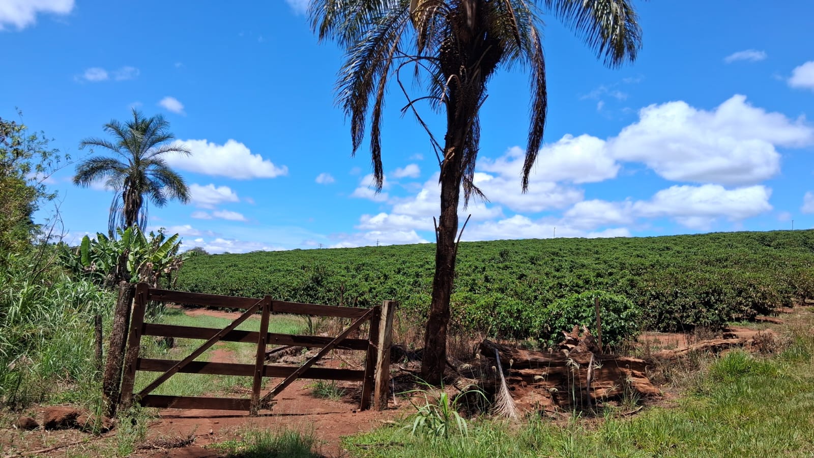 Rural no bairro rural à Venda
