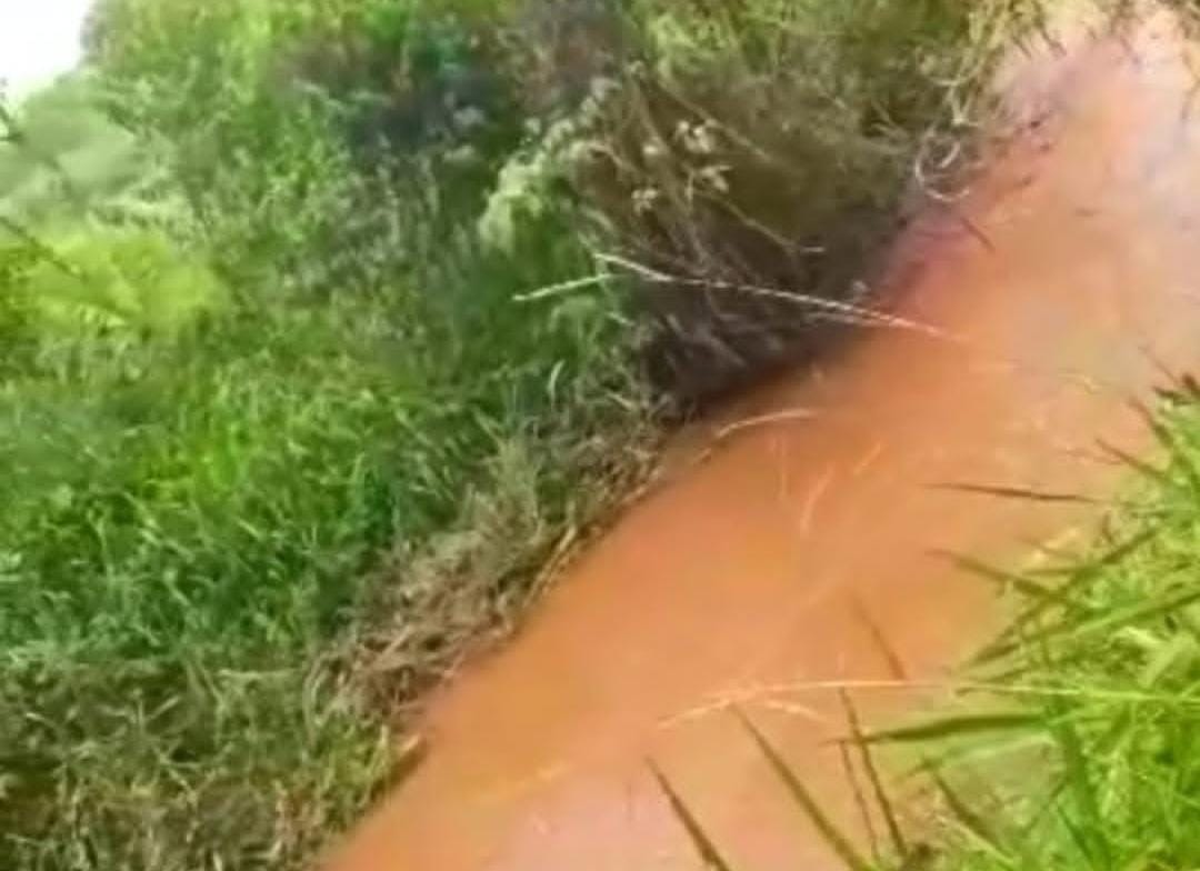 Rural no bairro rural à Venda