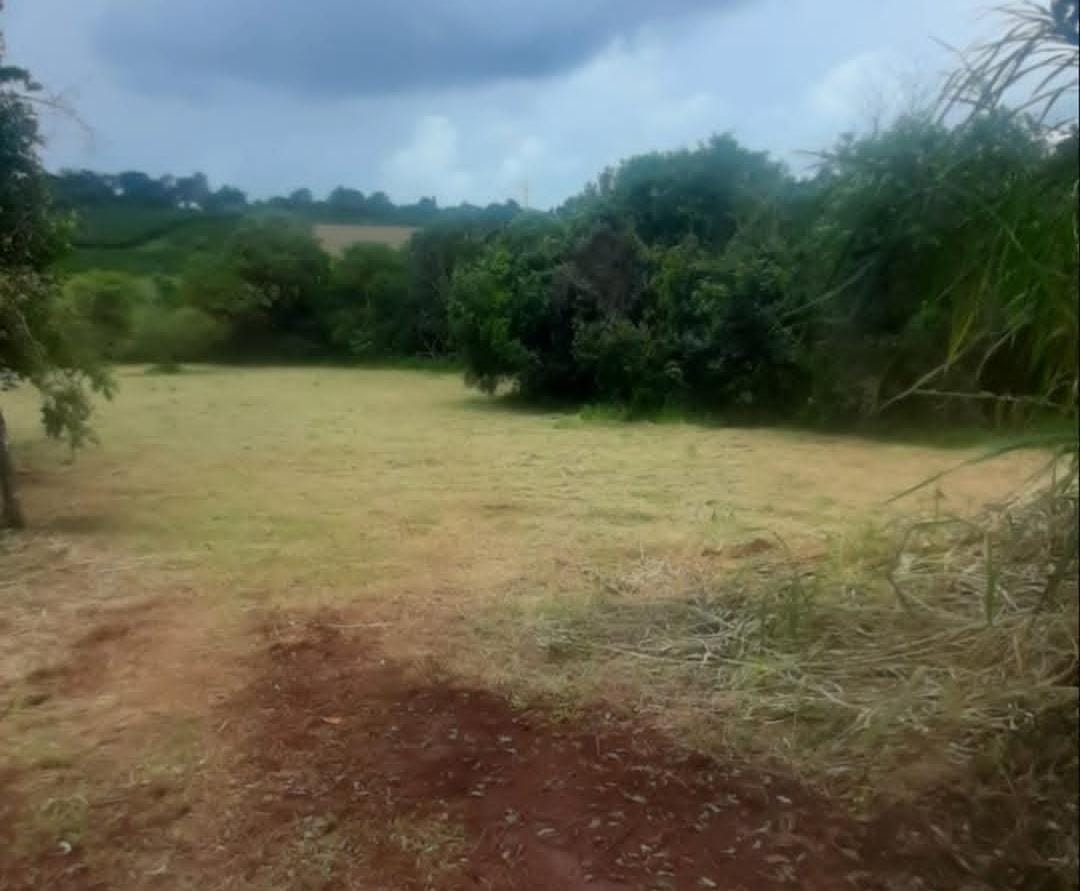 Rural no bairro rural à Venda