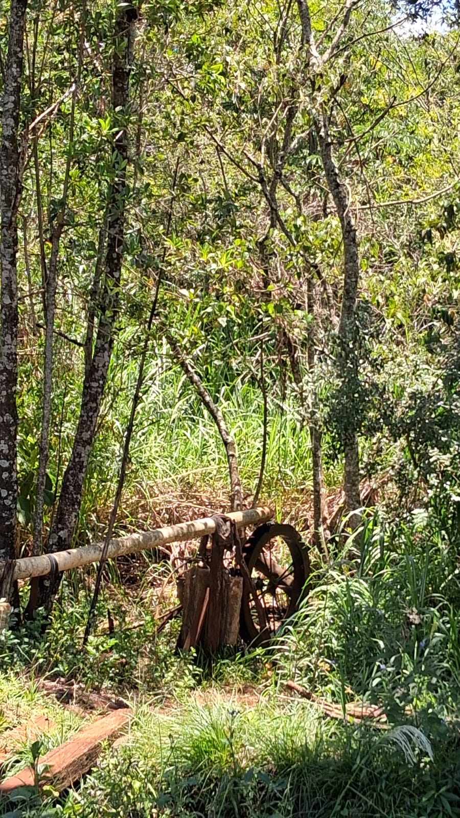 Rural no bairro rural à Venda