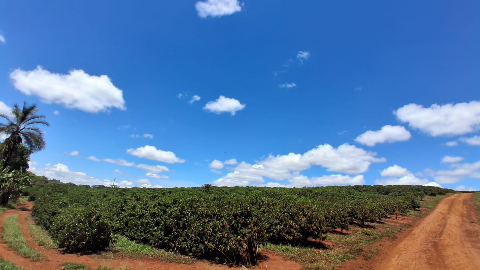 Rural no bairro rural à Venda