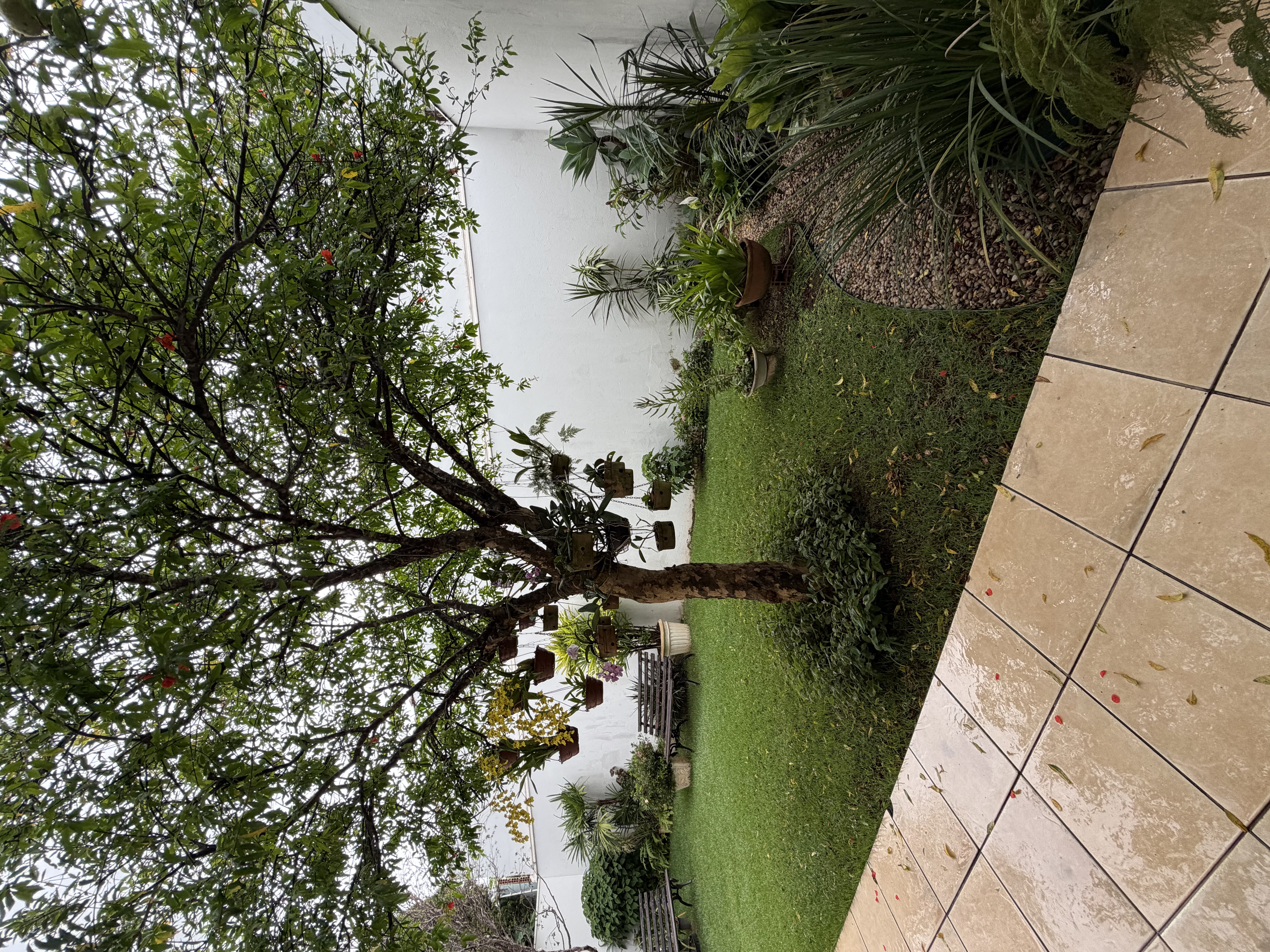 Casa no bairro Jardim Noêmia à Venda