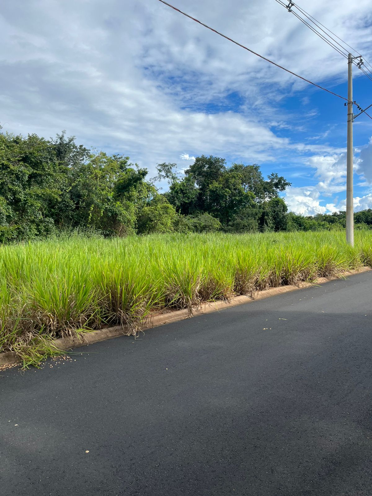 Terreno no bairro Rifaina à Venda