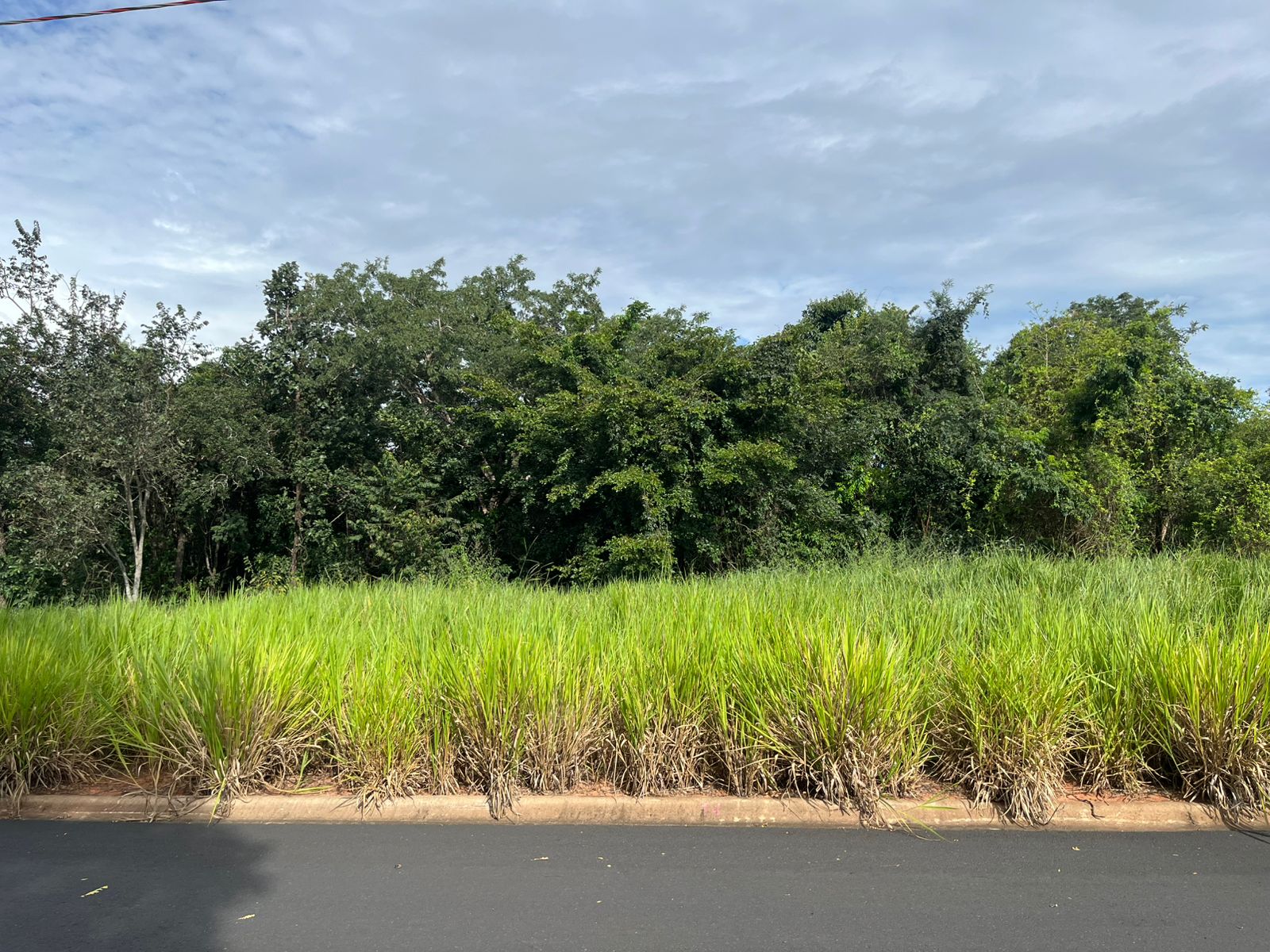 Terreno no bairro Rifaina à Venda