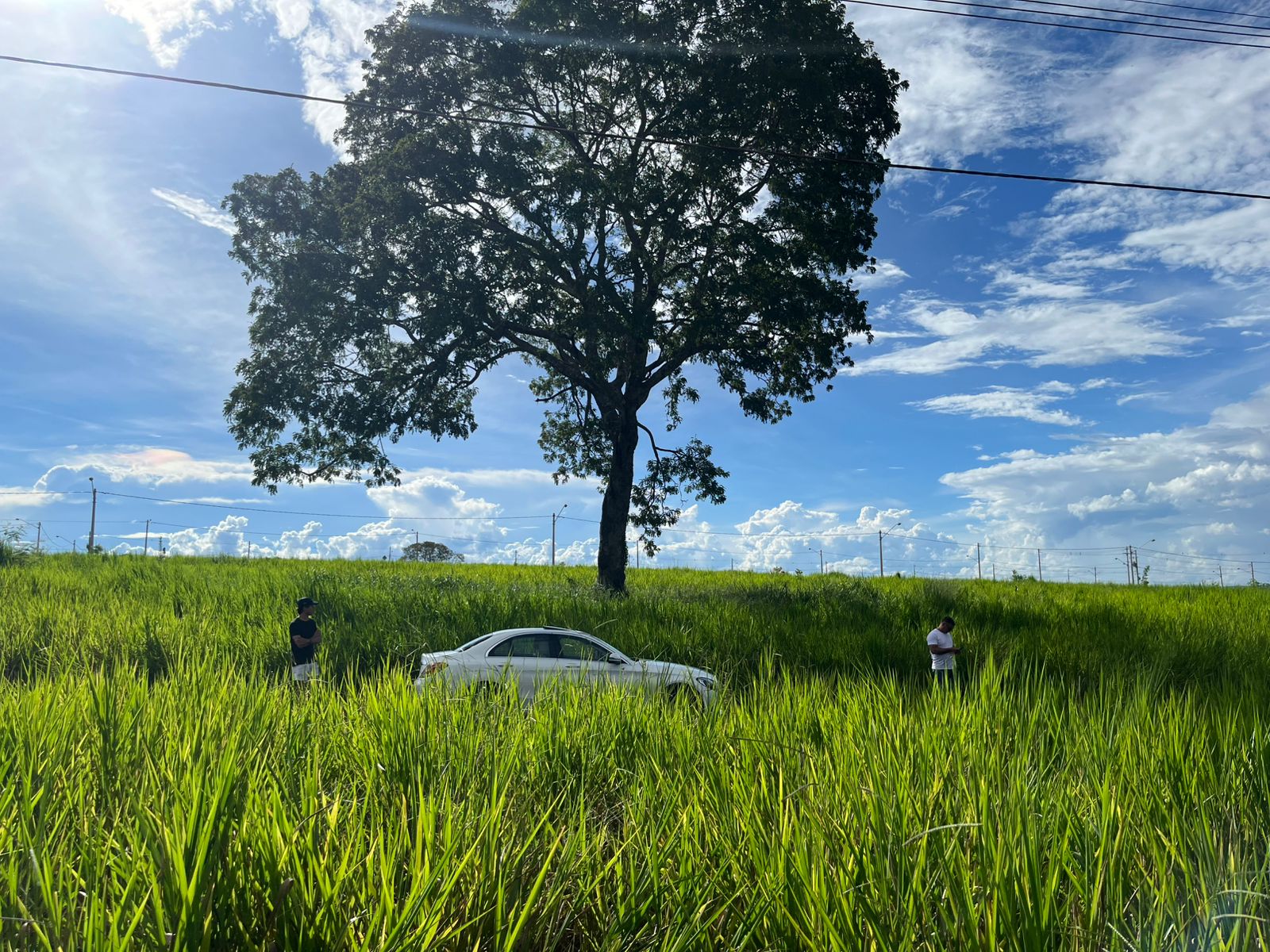 Terreno no bairro Rifaina à Venda