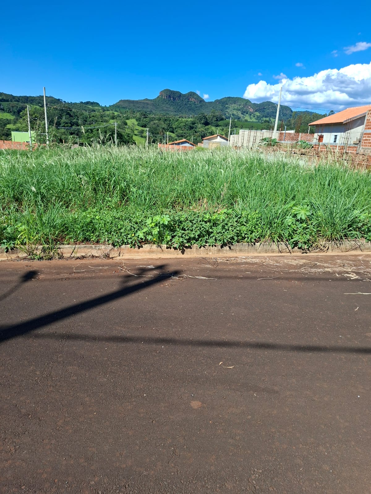 Terreno no bairro Cidade Nova à Venda