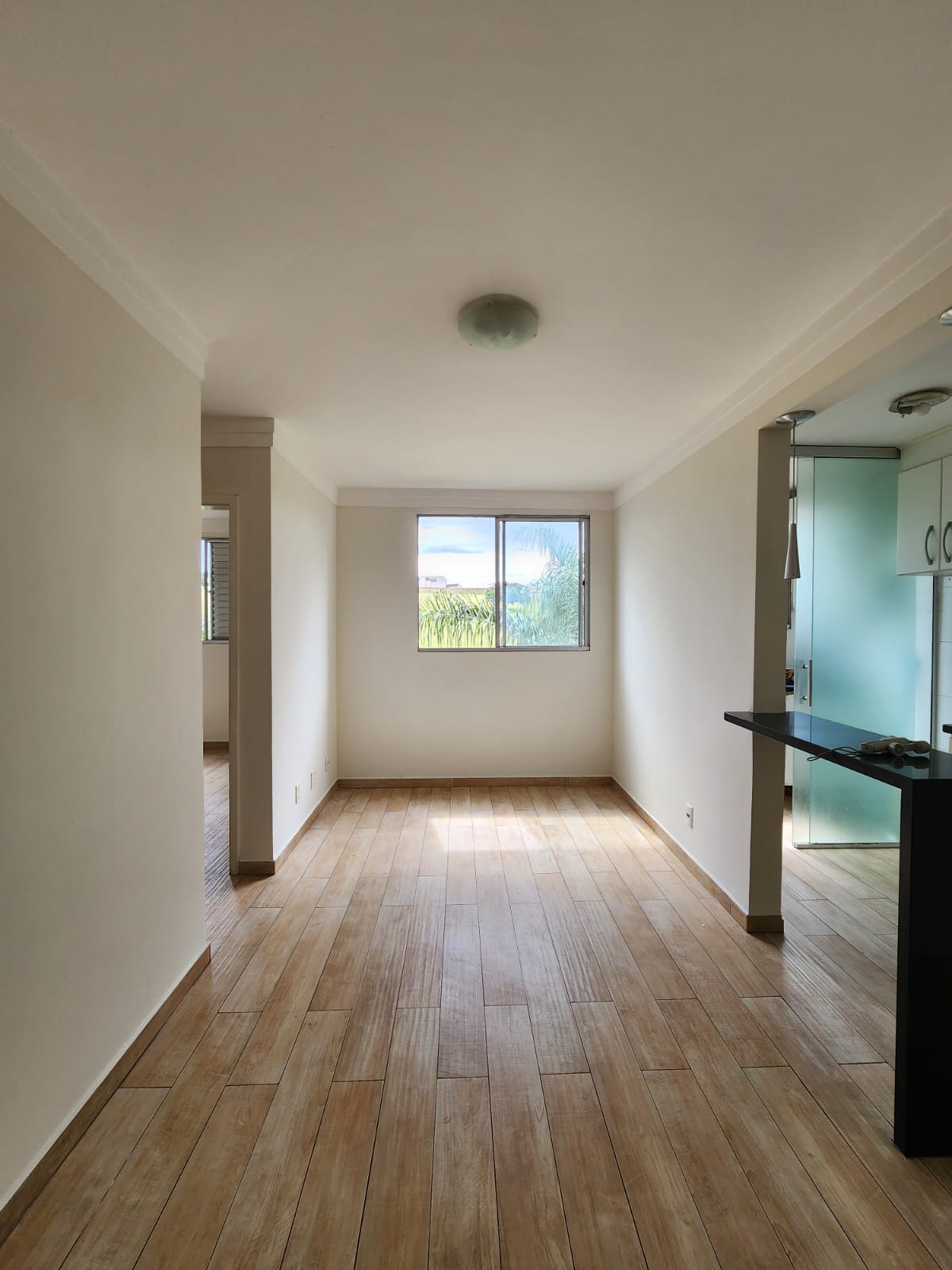 Apartamento no bairro Residencial Amazonas à Venda