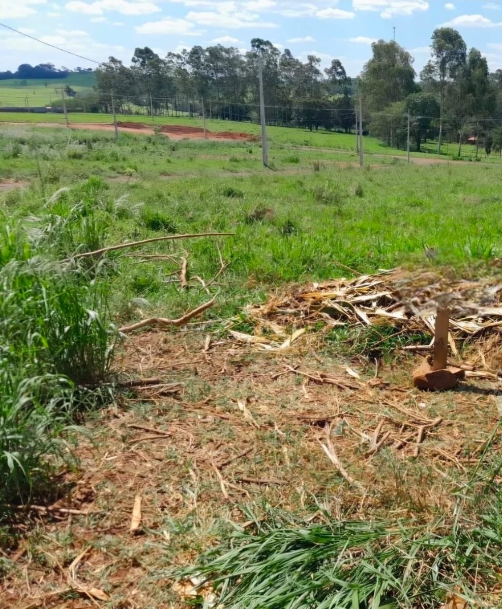 Terreno no bairro Cidade Nova à Venda