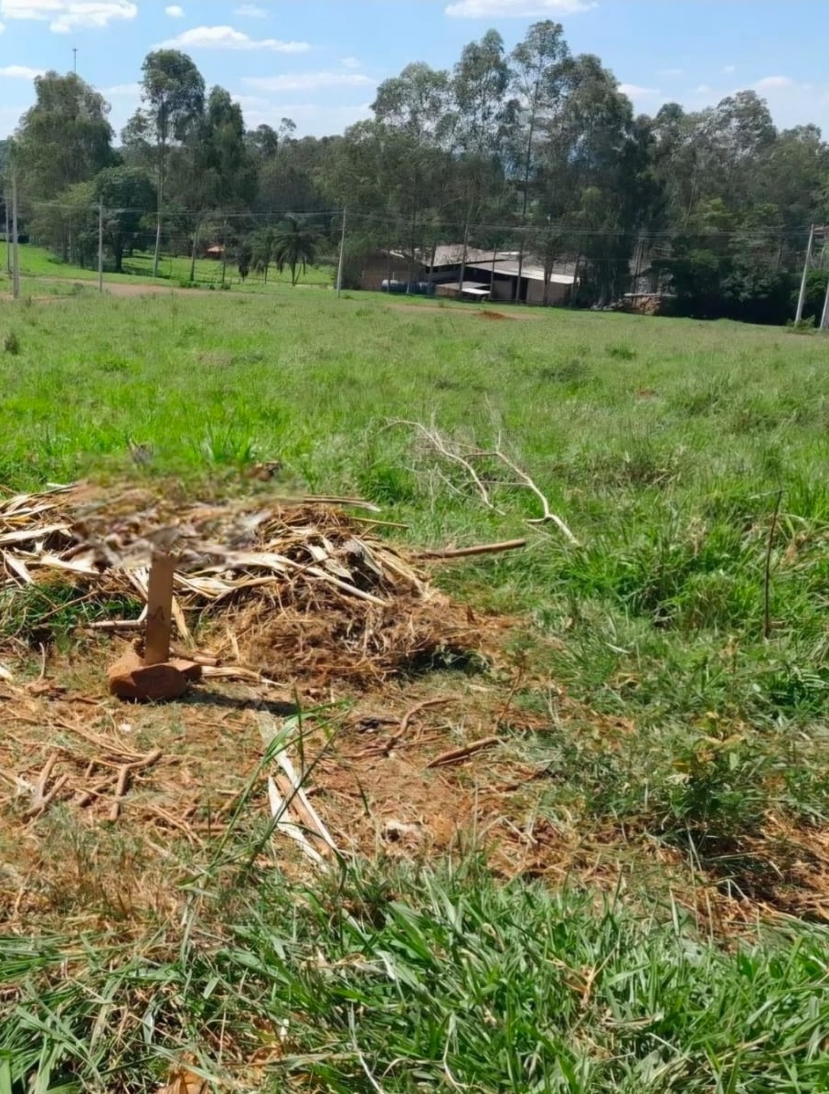 Terreno no bairro Cidade Nova à Venda