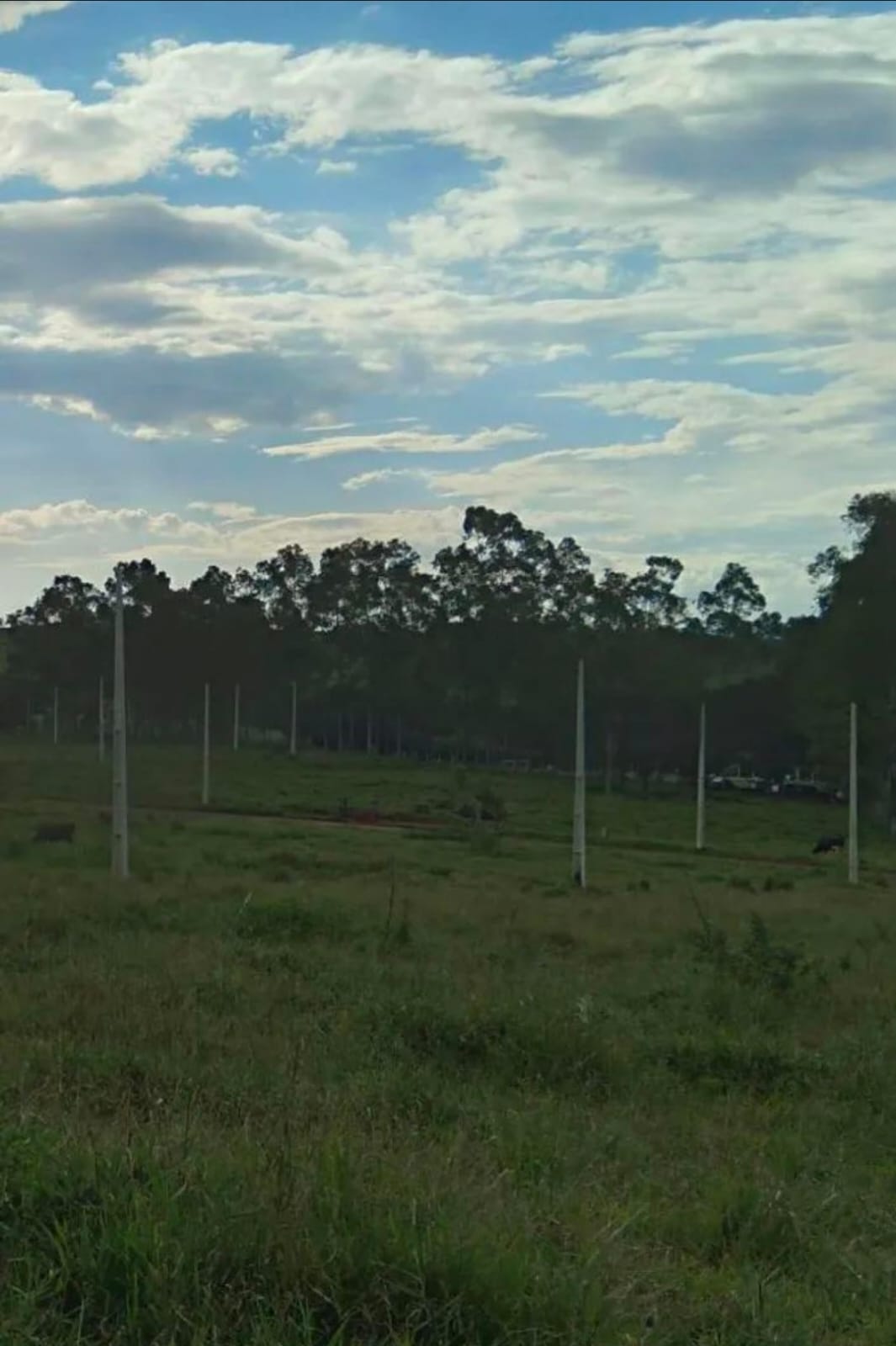 Terreno no bairro Cidade Nova à Venda