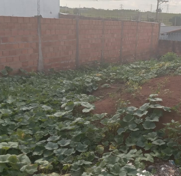 Terreno no bairro Residencial São Paulo II à Venda