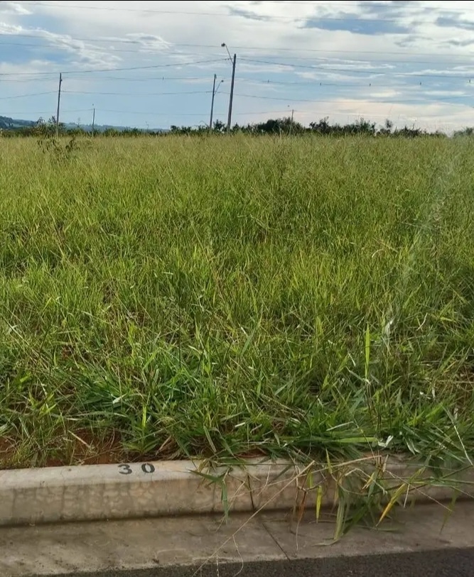 Terreno no bairro Residencial Quinta da Aurora à Venda