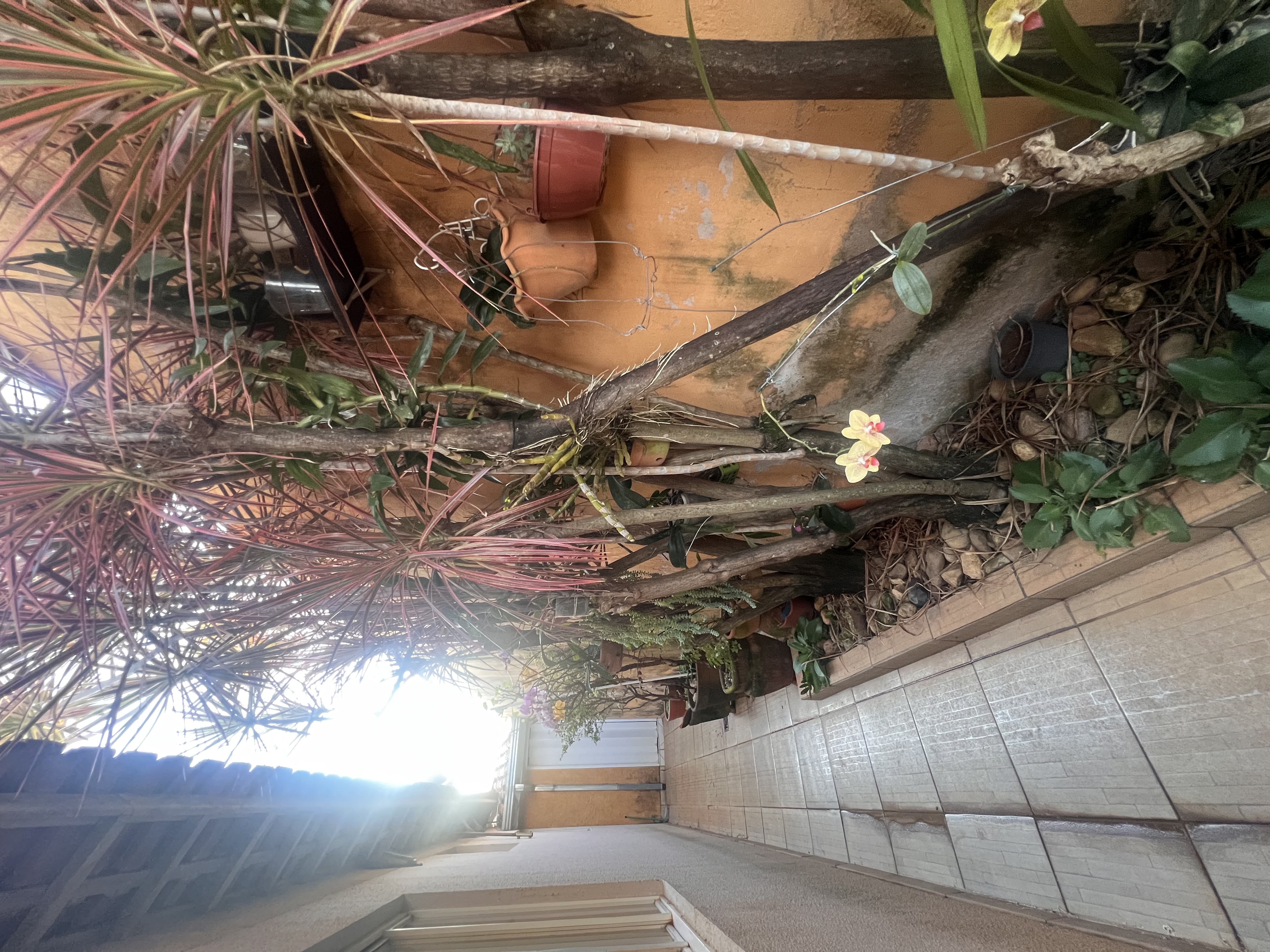 Casa no bairro Residencial Peres Elias à Venda