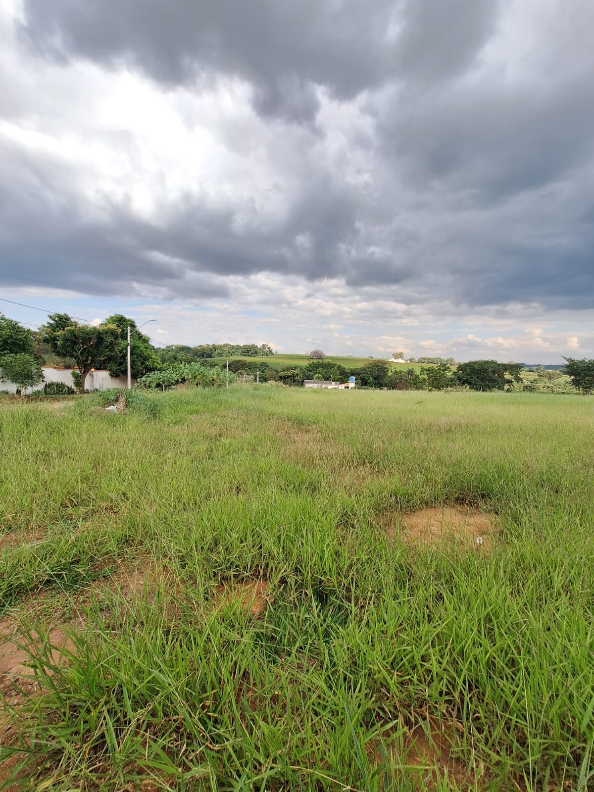 Rural no bairro Alto da Boa vista à Venda