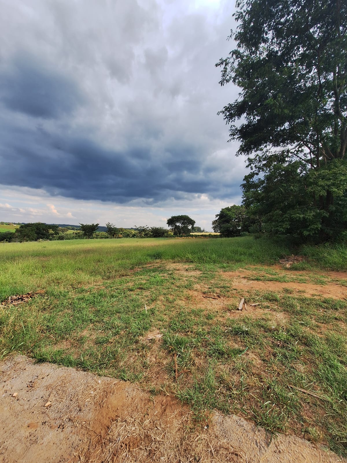 Rural no bairro Alto da Boa vista à Venda