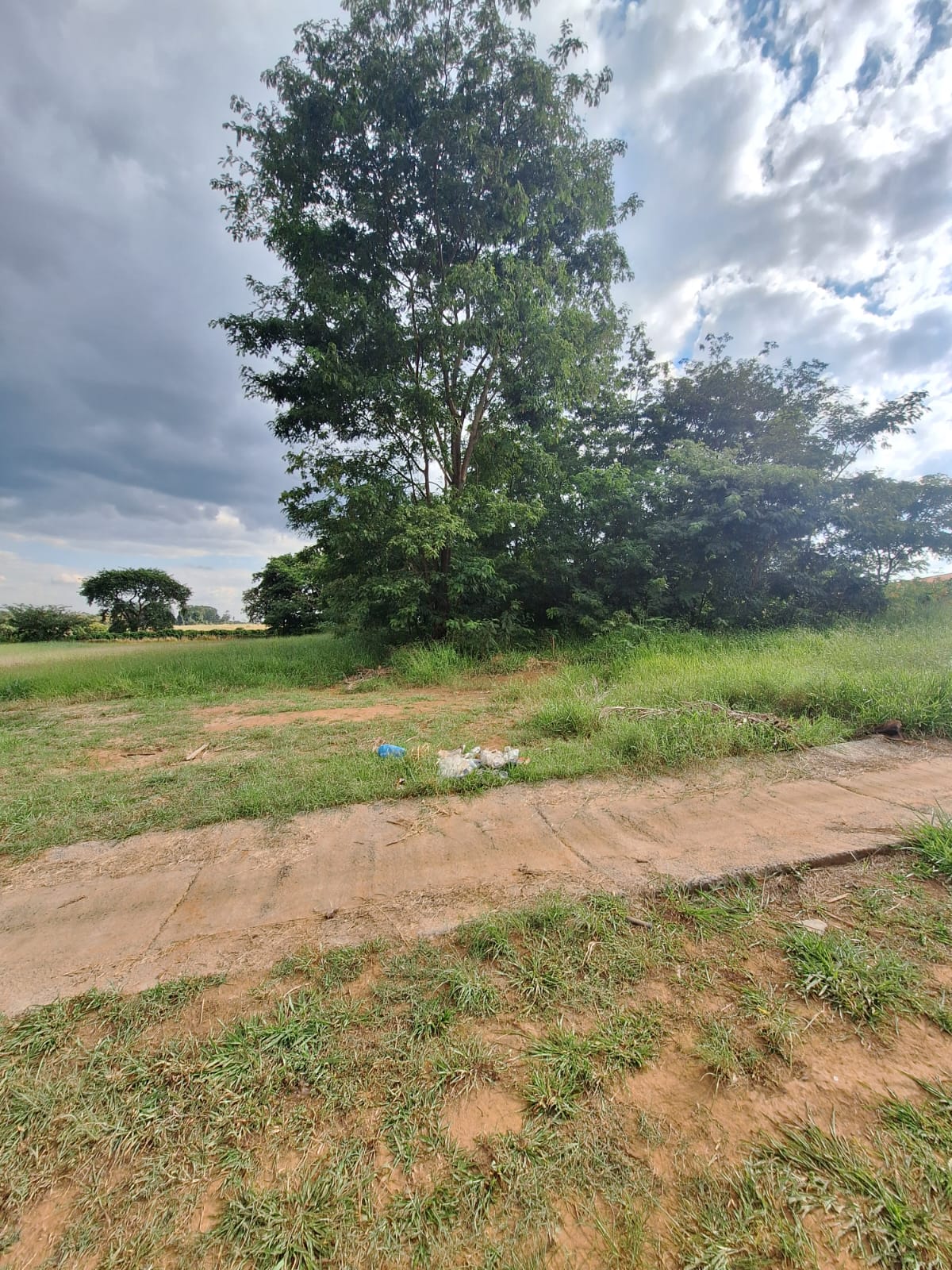 Rural no bairro Alto da Boa vista à Venda