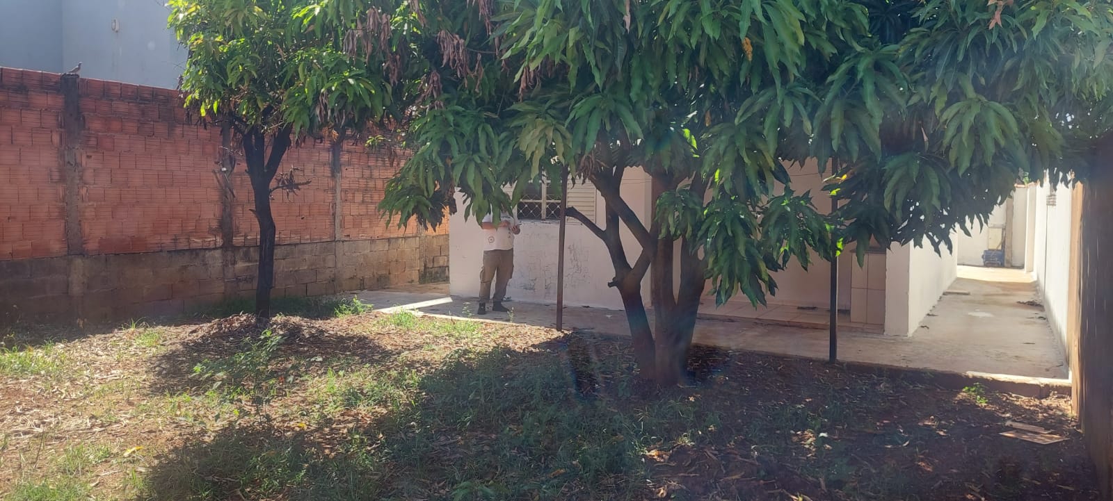 Casa no bairro Santa Cruz à Venda