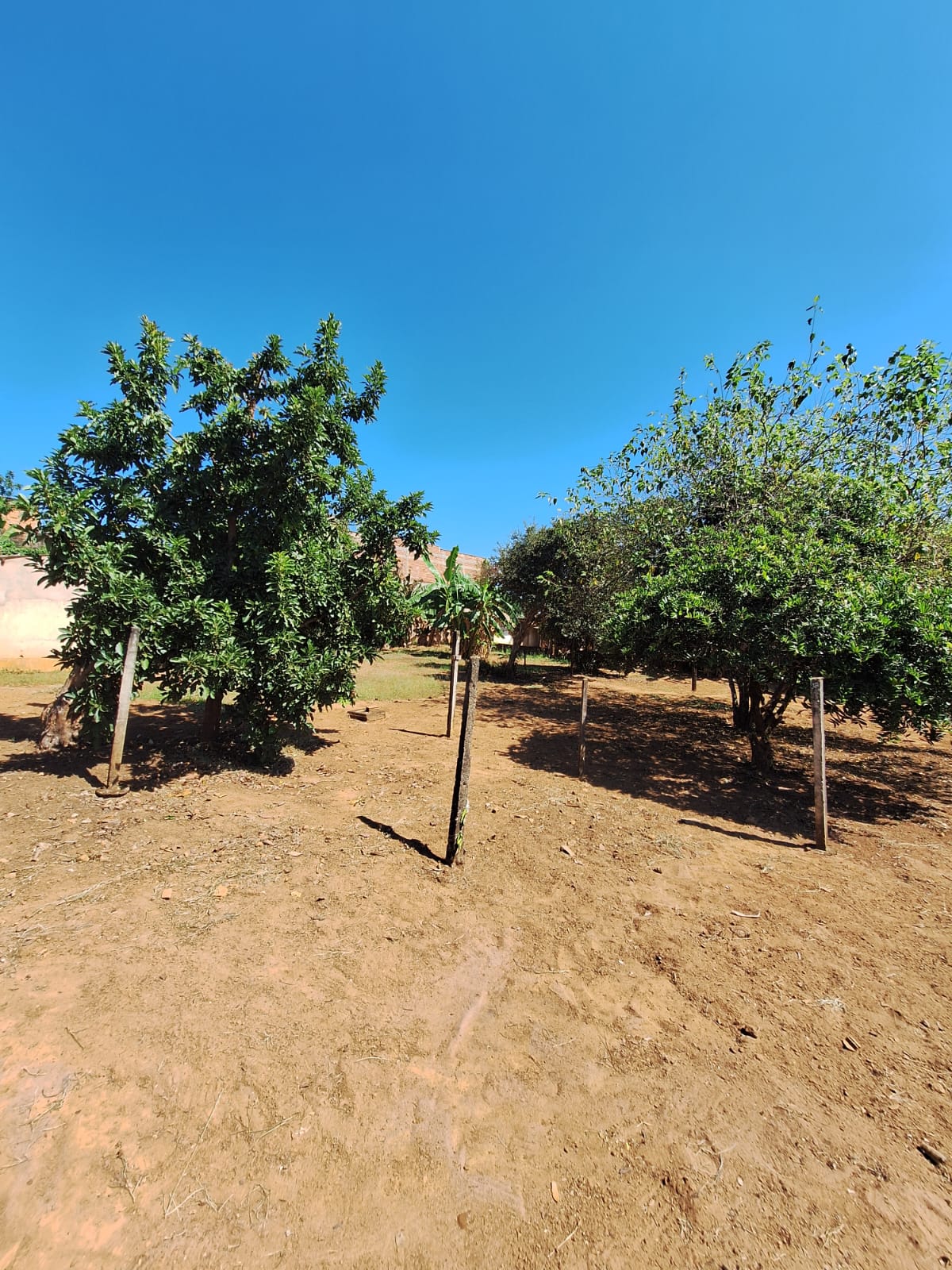Rural no bairro Recanto Fortuna à Venda