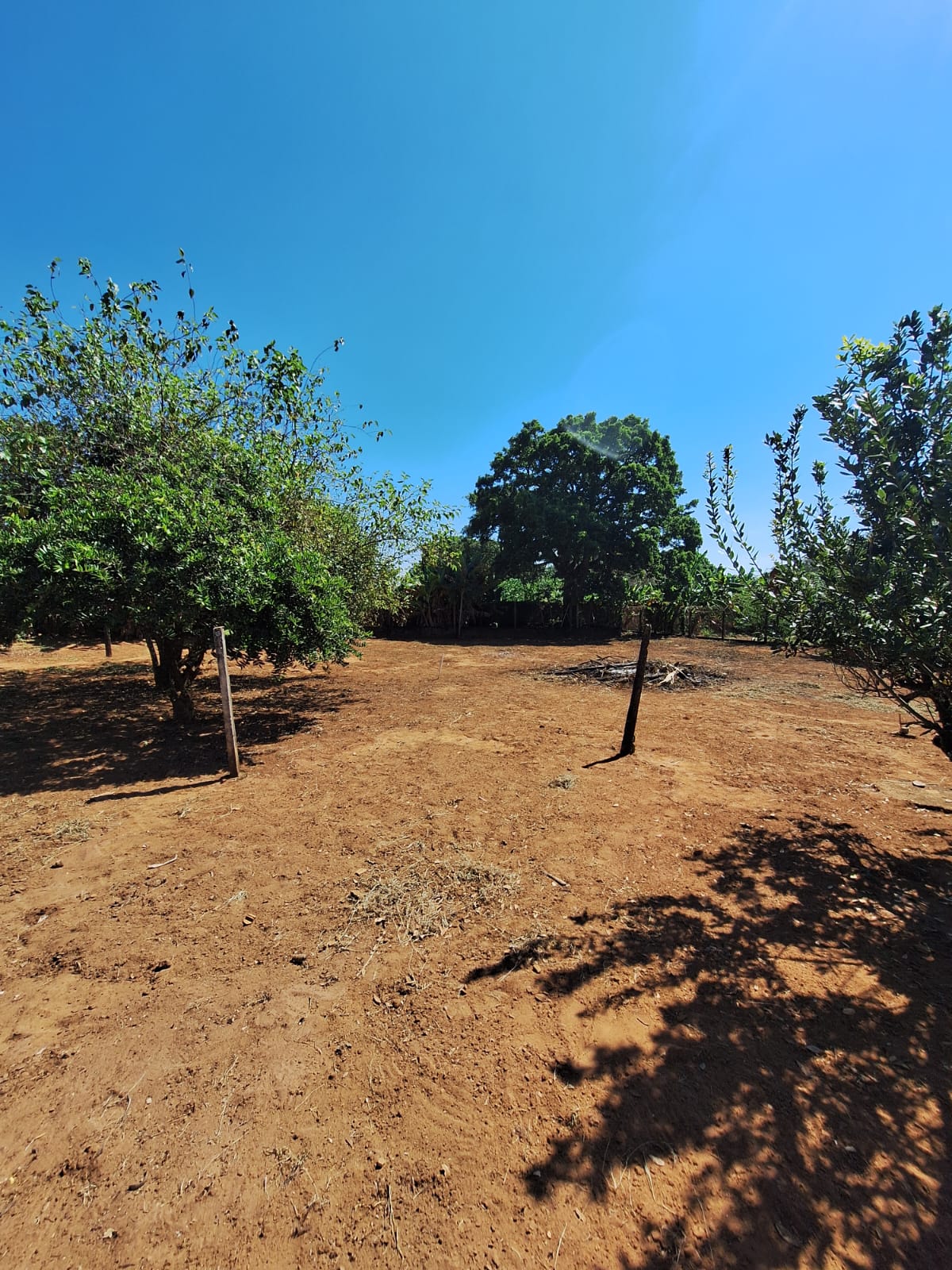 Rural no bairro Recanto Fortuna à Venda