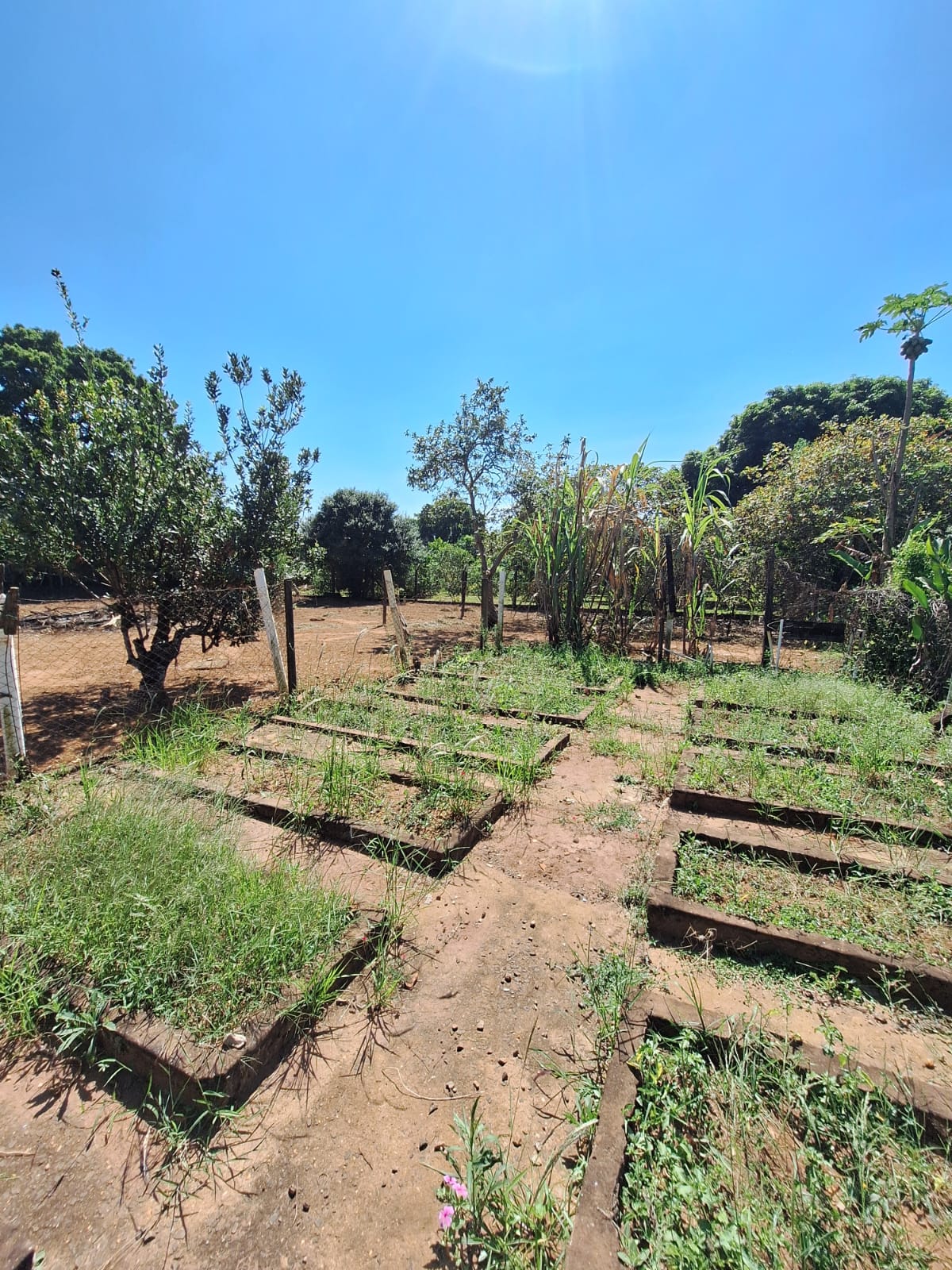 Rural no bairro Recanto Fortuna à Venda
