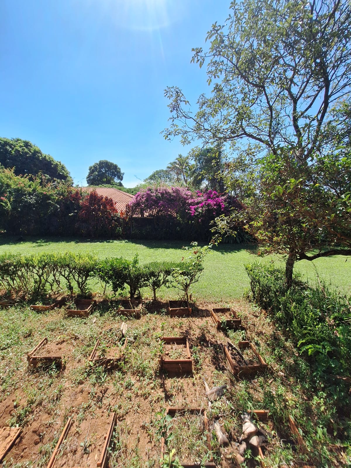 Rural no bairro Recanto Fortuna à Venda