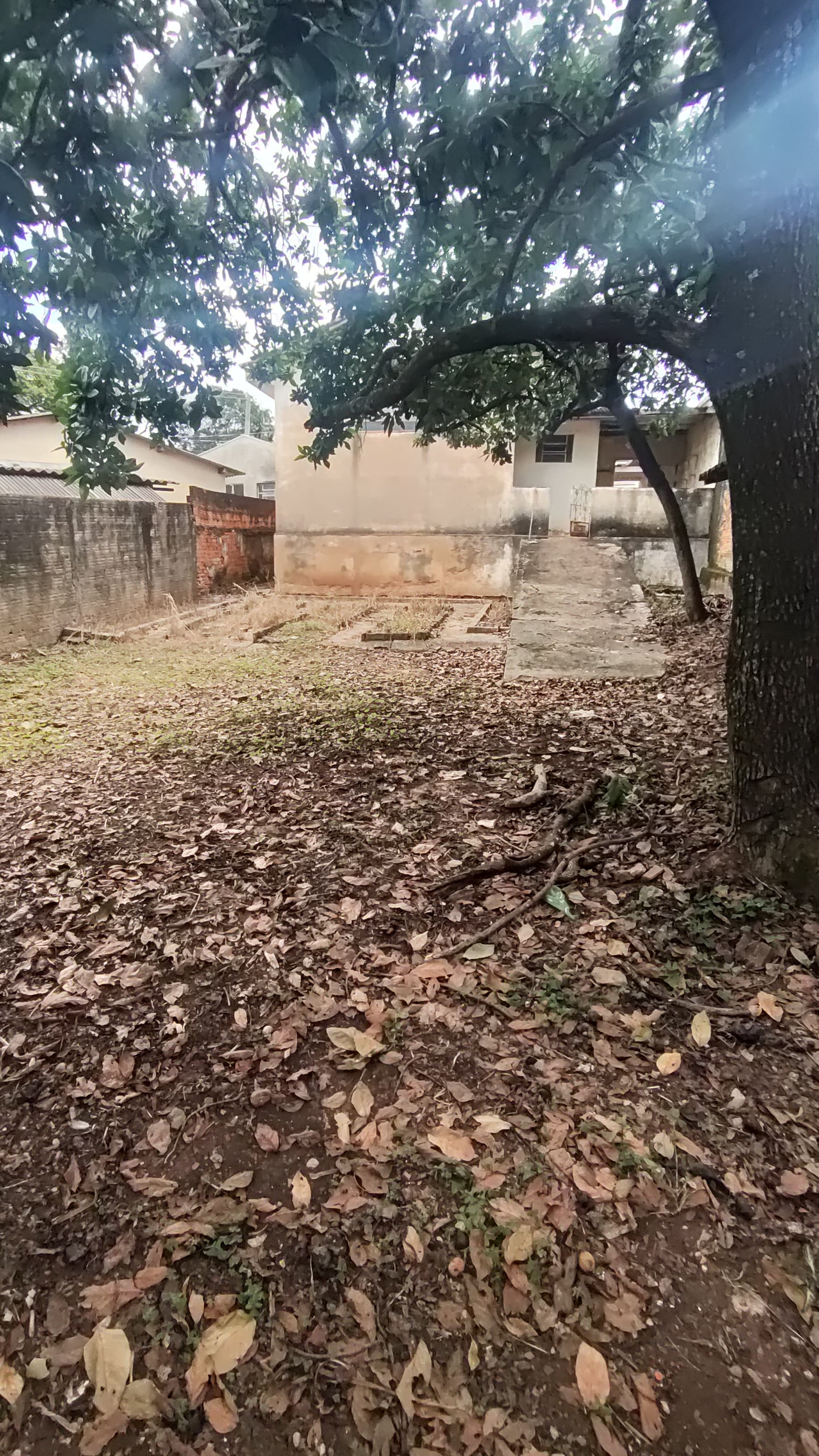 Casa no Centro à Venda