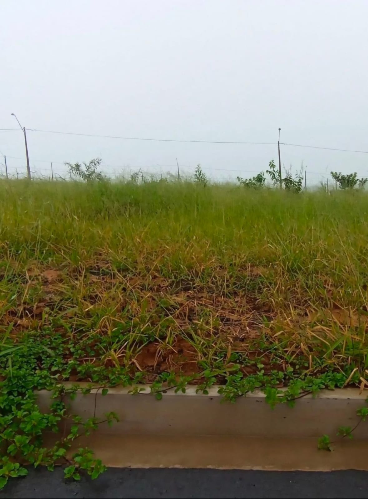Terreno no bairro Jardim Arizona à Venda