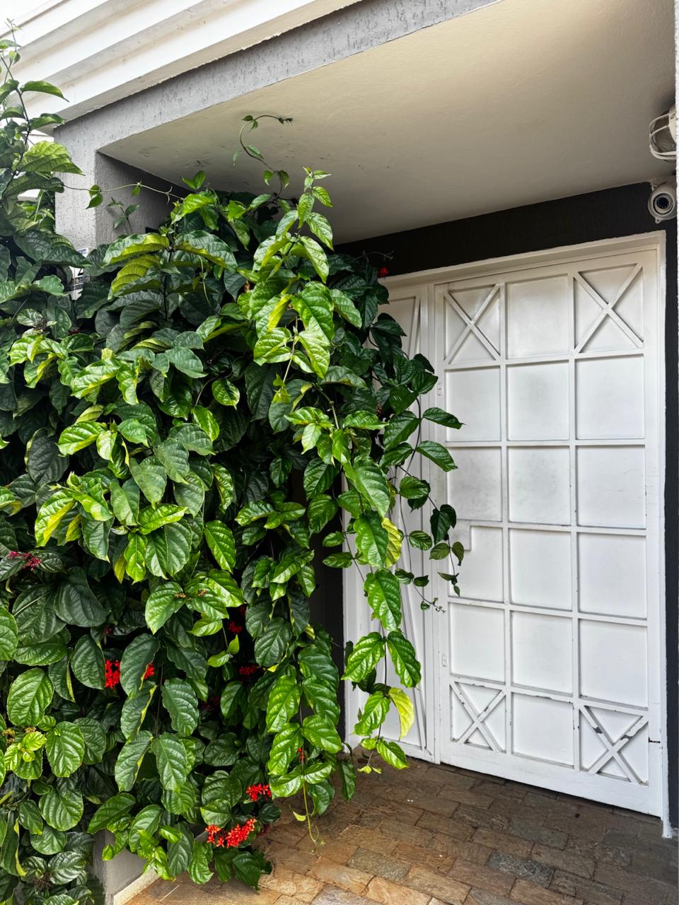 Casa no bairro Jardim do Éden à Venda