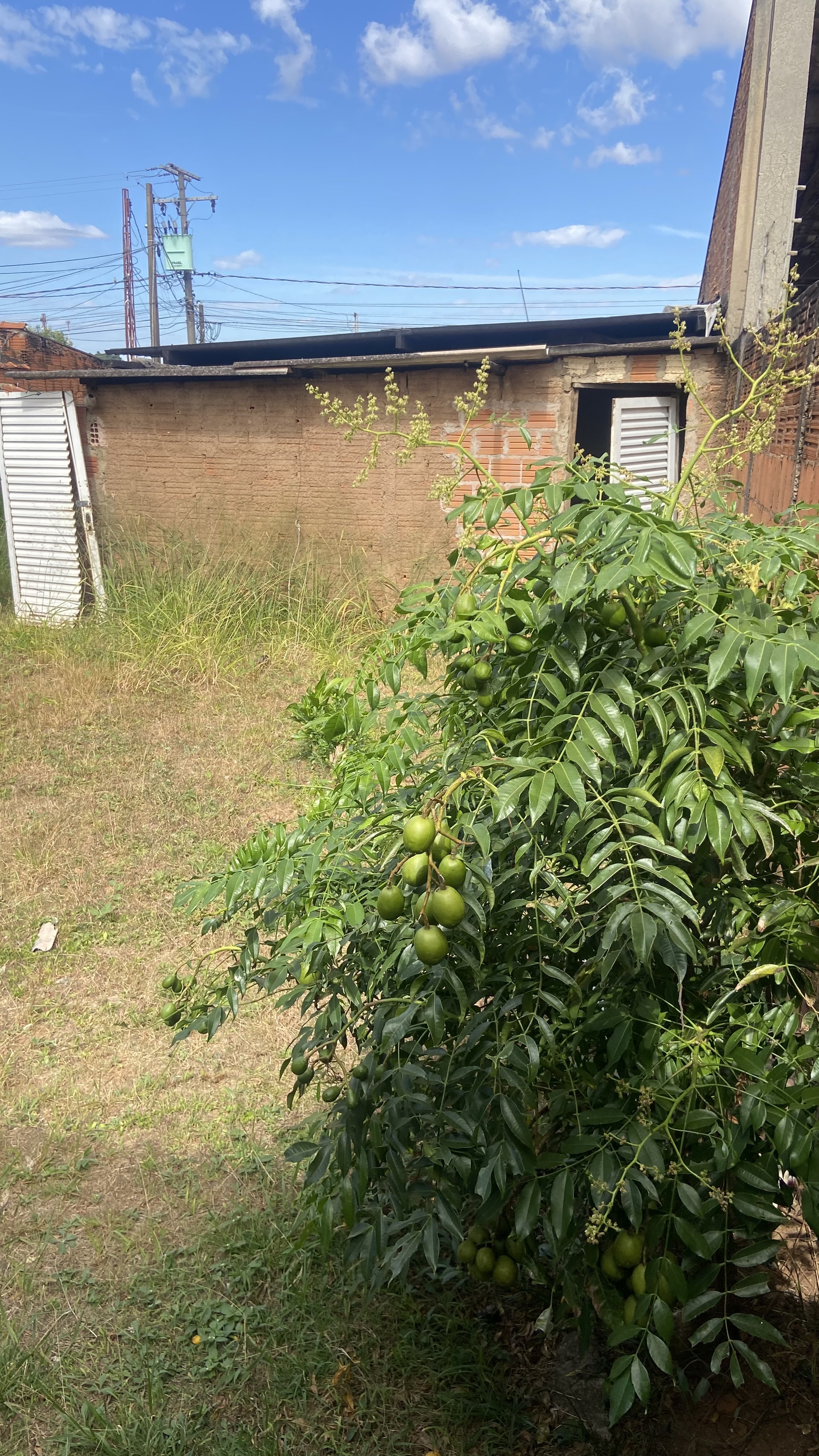 Terreno no bairro Jardim Dermínio à Venda