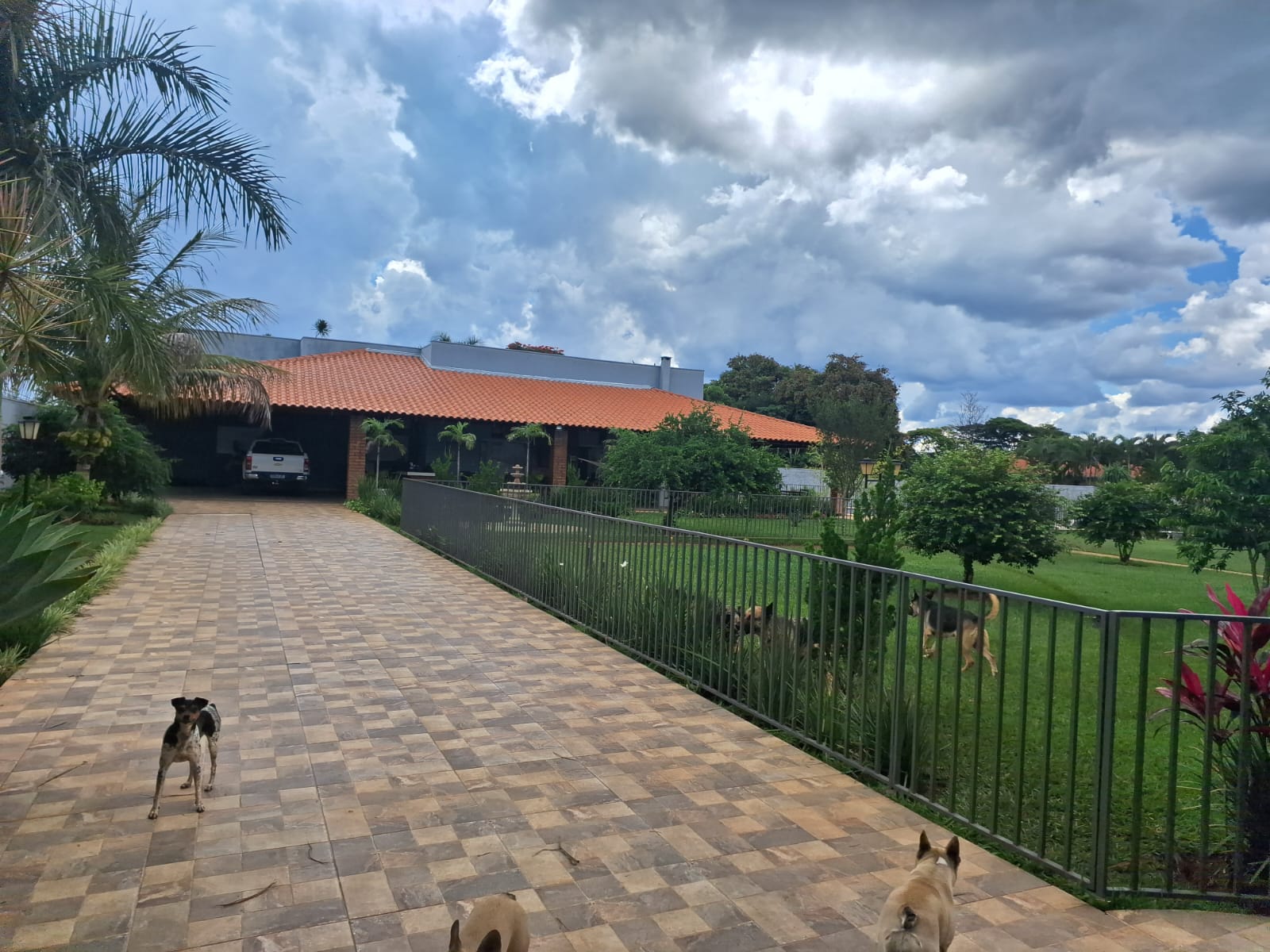 Rural no bairro Condominio Belvedere dos Cristais à Venda