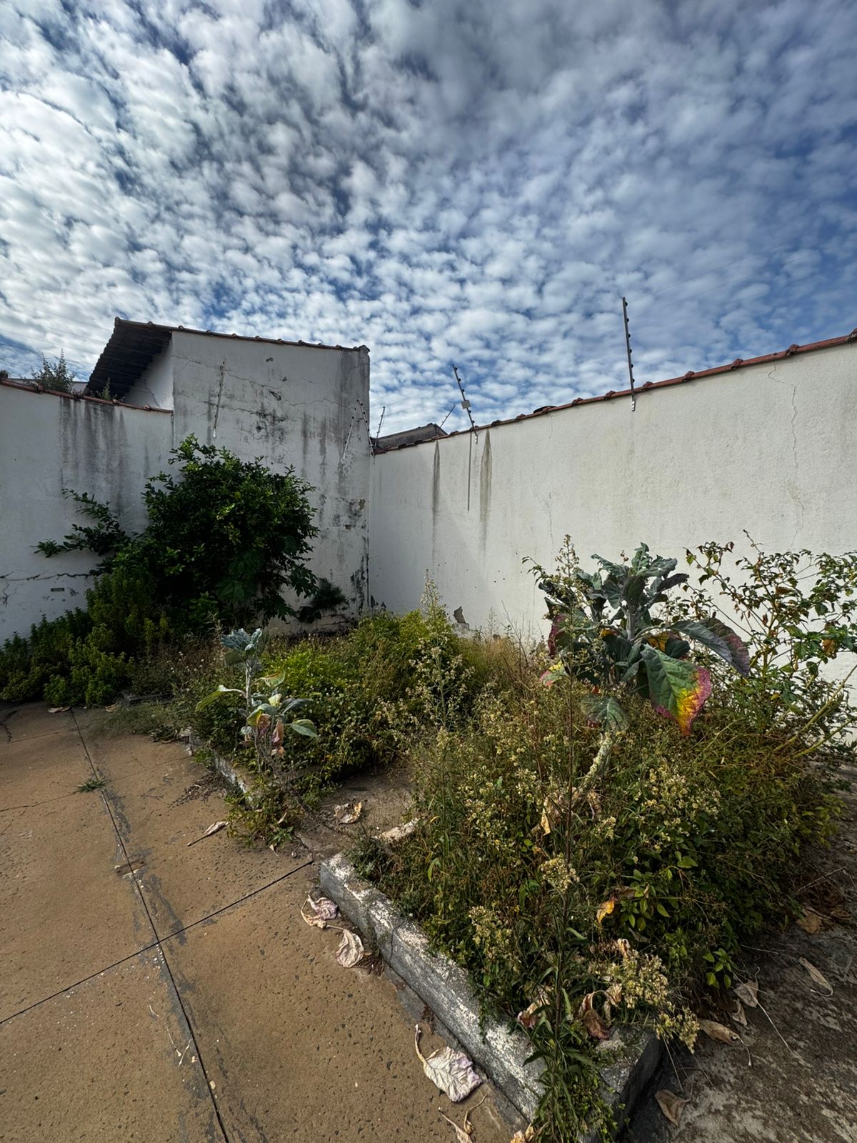 Casa no bairro Jardim Boa Esperança à Venda