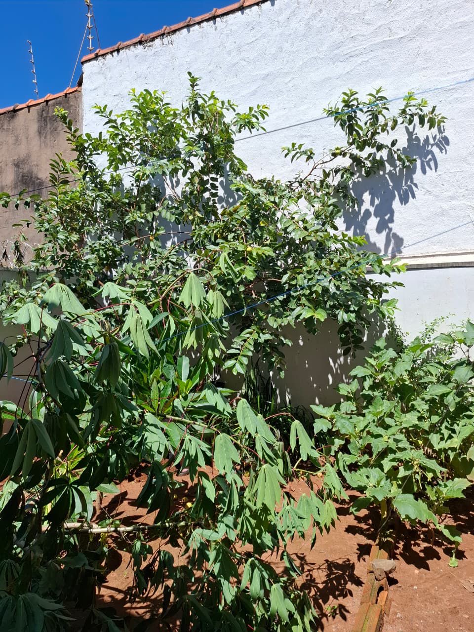 Casa no bairro Nova restinga à Venda