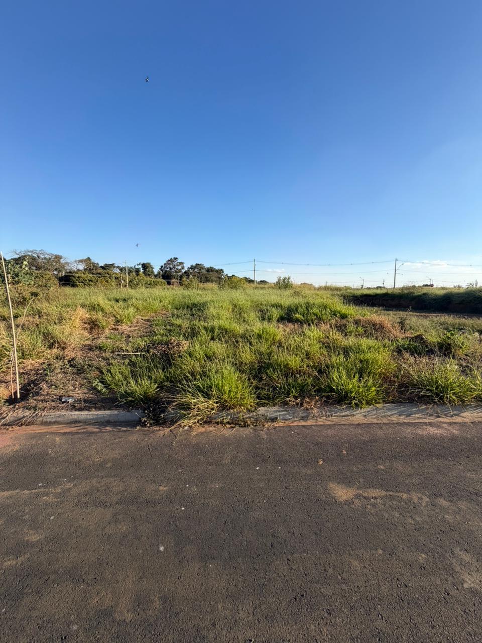 Terreno no bairro Reserva Abaeté à Venda