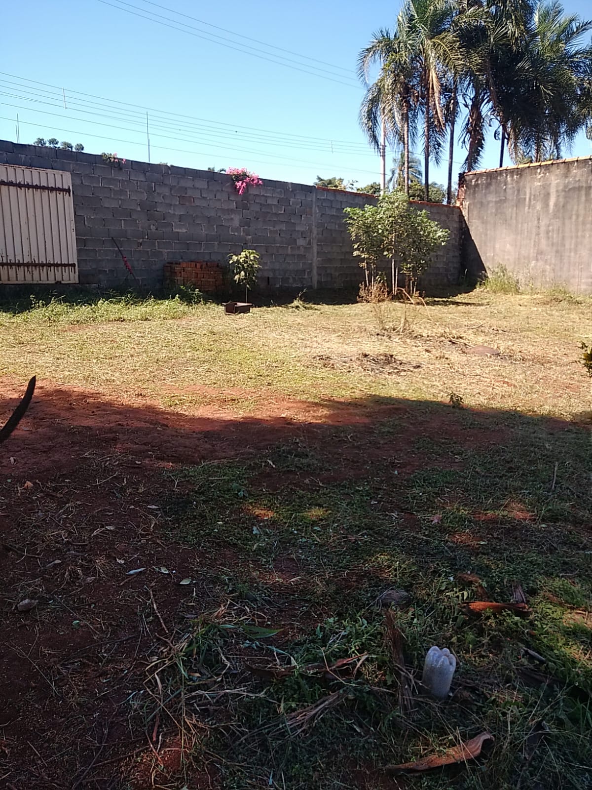 Rural no bairro Distrito Industrial Antônio Della - Torre à Venda