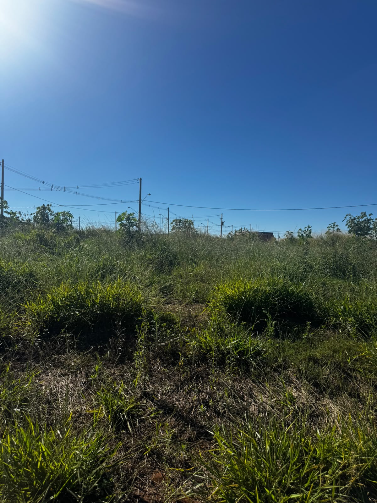 Terreno no bairro Reserva Abaeté à Venda