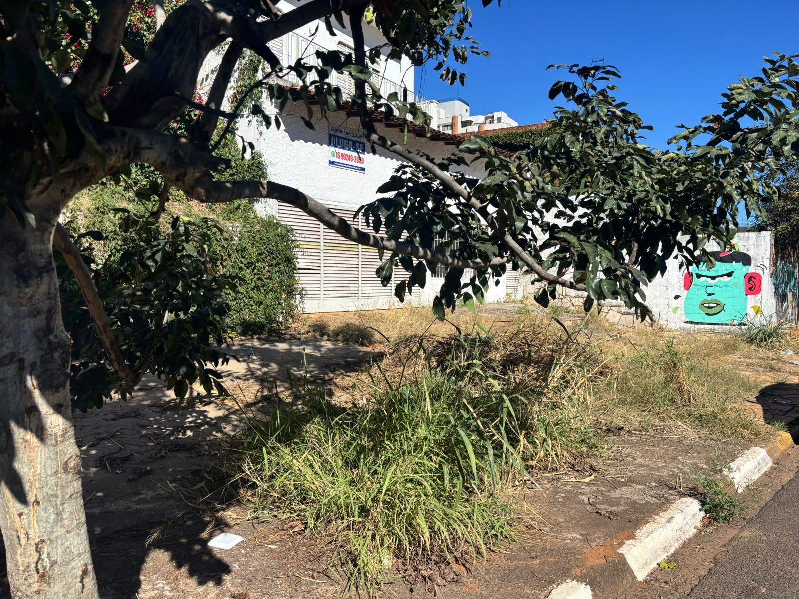 Terreno no bairro Jardim Francano à Venda