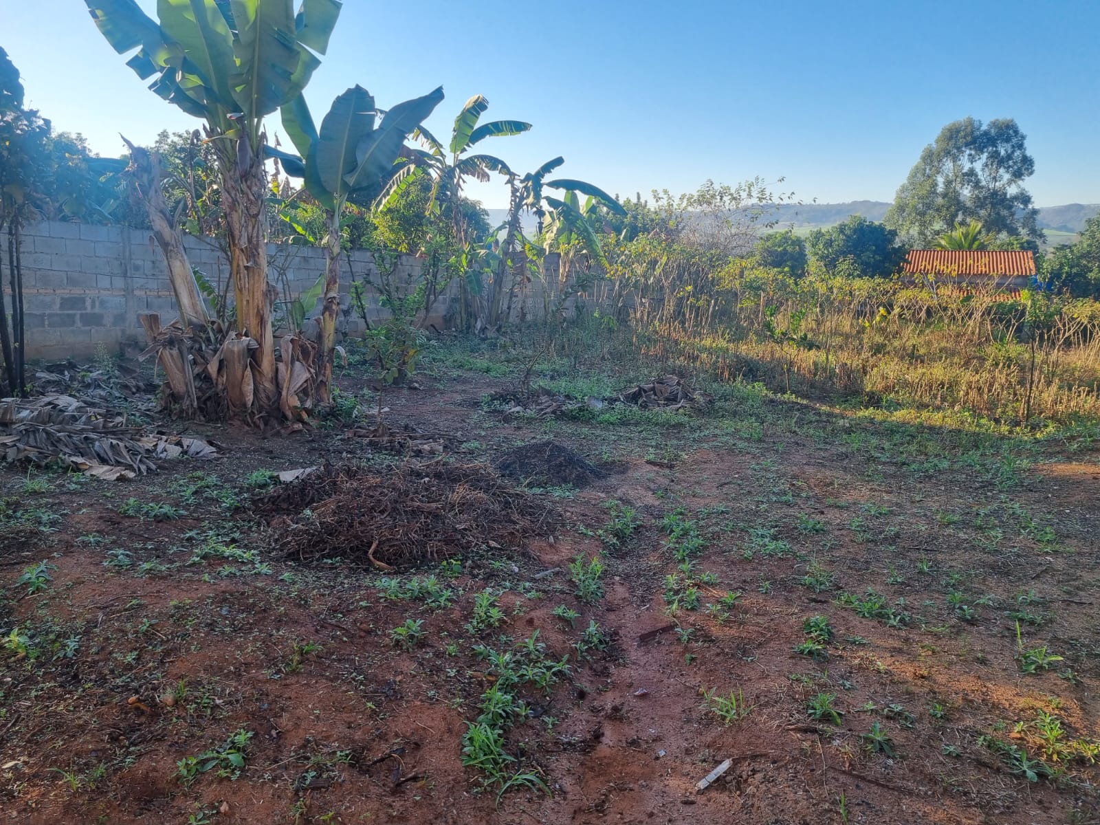 Rural no bairro Parque dos Ipês à Venda