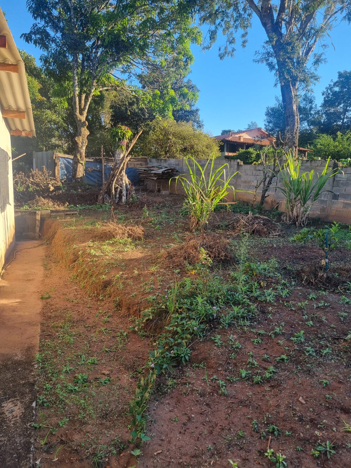 Rural no bairro Parque dos Ipês à Venda