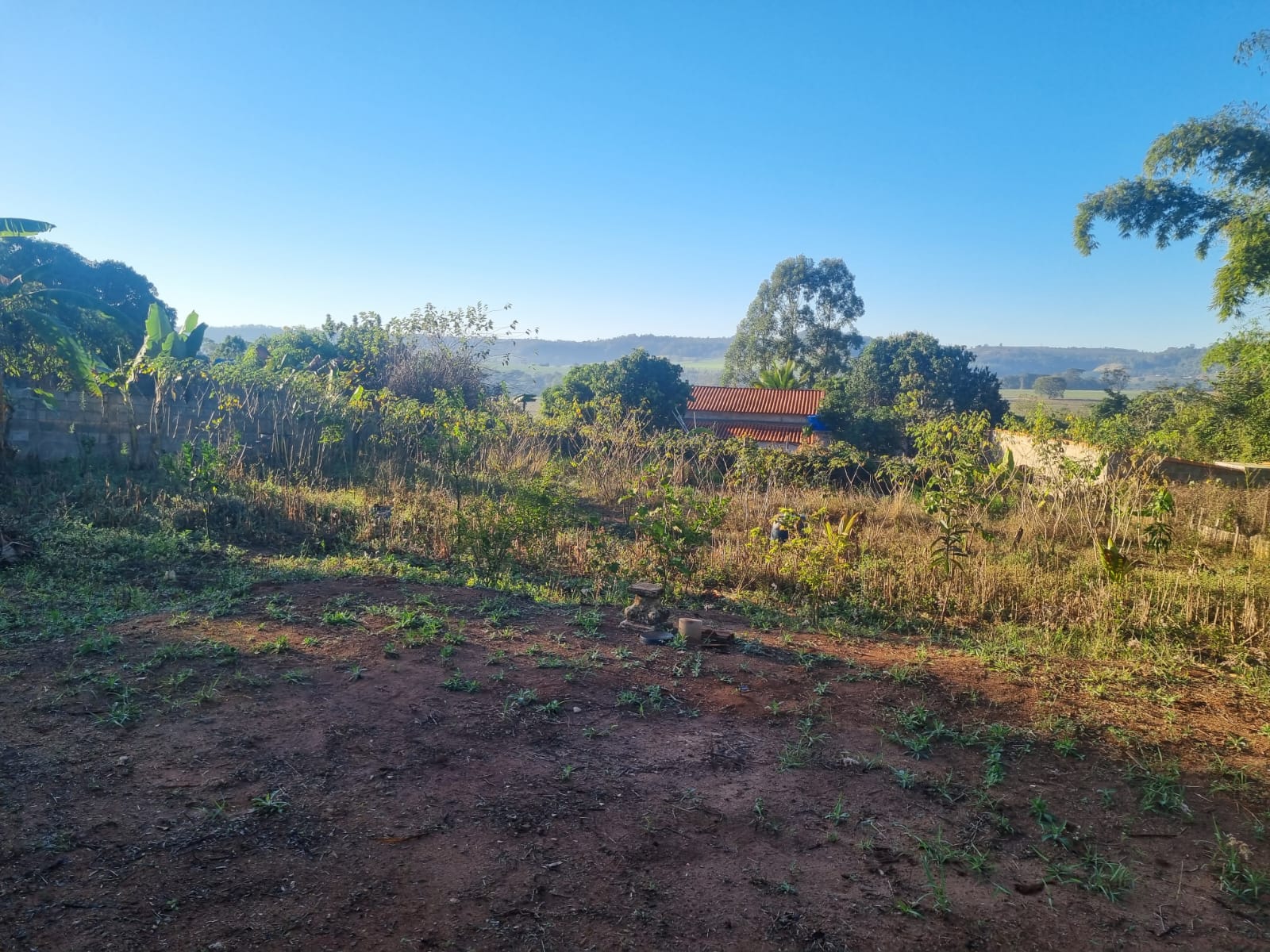 Rural no bairro Parque dos Ipês à Venda